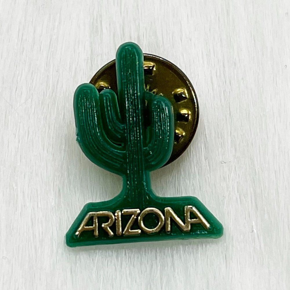 🔮 5/$25 Vintage Arizona Cactus Pin - Picture 1 of 3